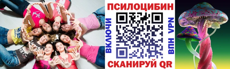 Псилоцибиновые грибы Cubensis  Купить  Видное 