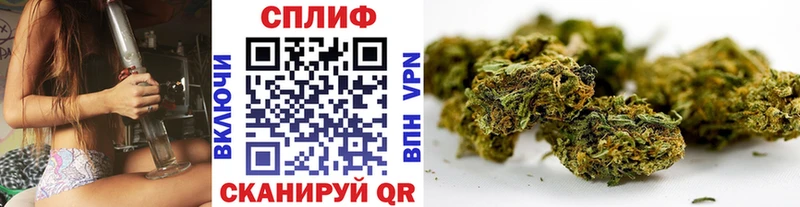 Купить где  Видное  Канабис конопля 
